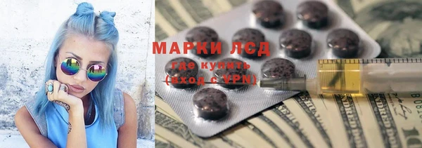 стаф Балахна