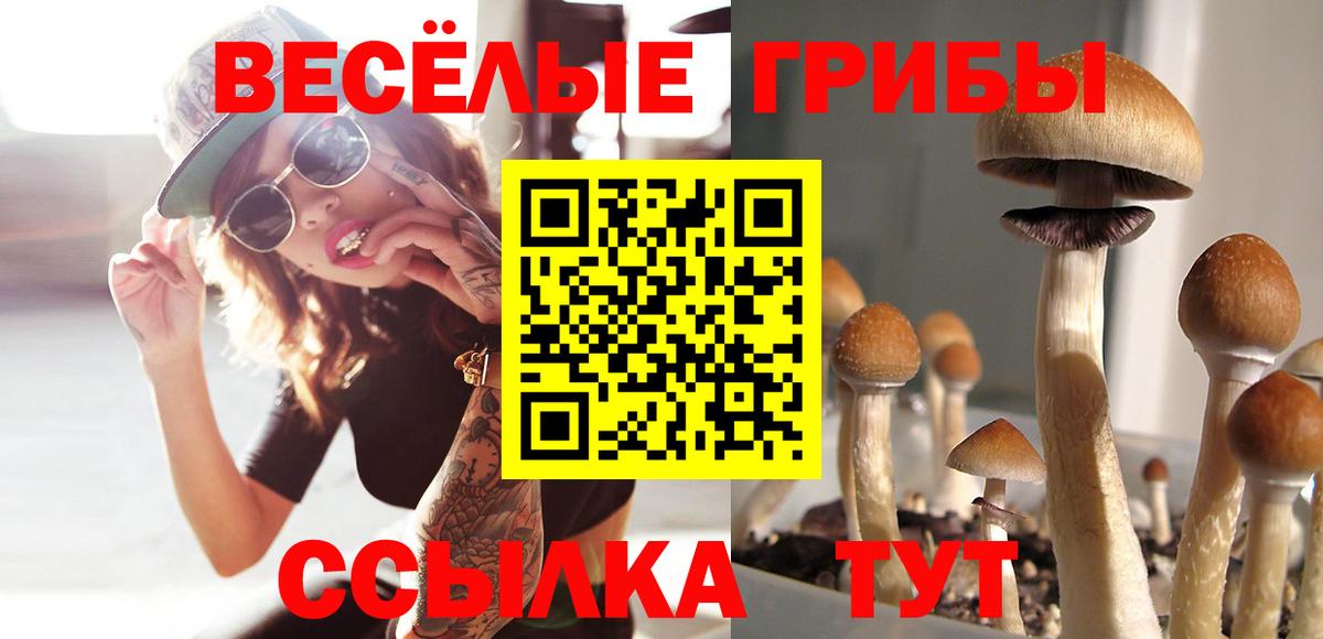 Псилоцибиновые грибы MAGIC MUSHROOMS  наркошоп  Ульяновск  Вход с VPN 